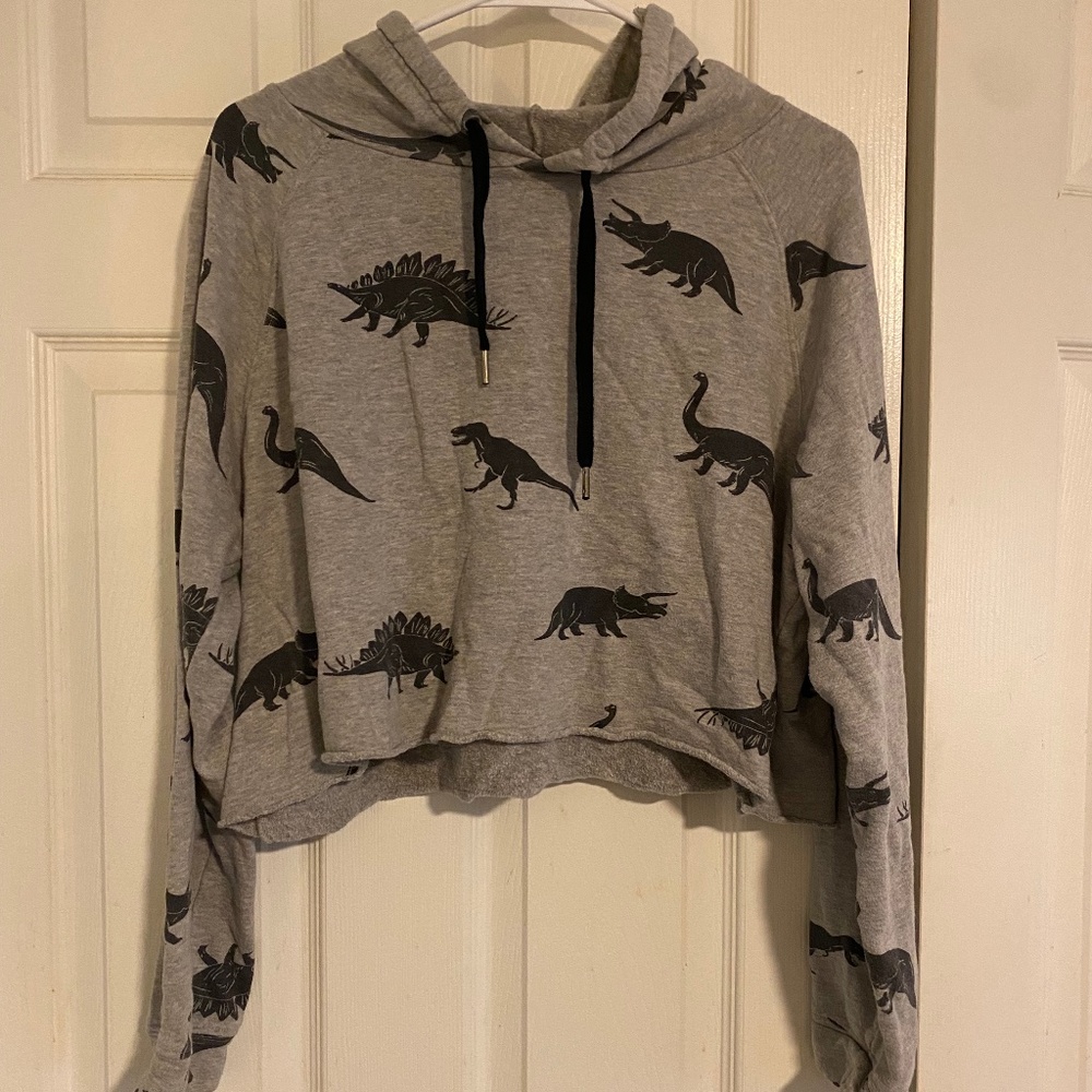 Grey Dino Printed Cropped Hoodie size XL